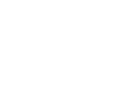Grupo Lank